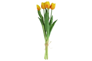 Tulpenbosje geel/oranje