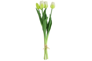 Tulpenbosje wit/groen