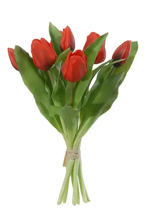 Tulpenbundel rood