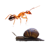 Bestrijdingsmiddelen